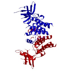 Image of CATH 5td2