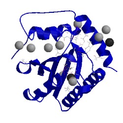 Image of CATH 5td5