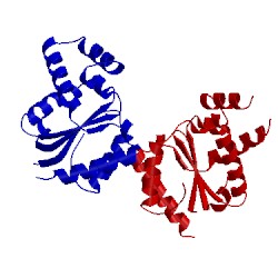 Image of CATH 5tec