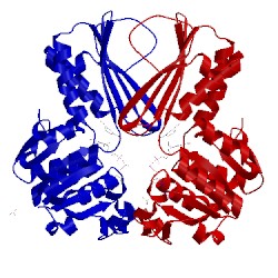 Image of CATH 5tem