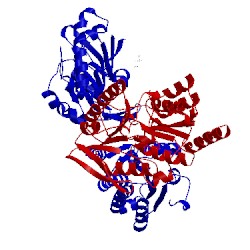 Image of CATH 5tet