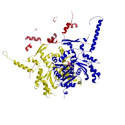 Image of CATH 5tgc
