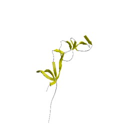 Image of CATH 5tgvE01
