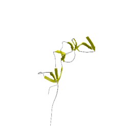 Image of CATH 5th1E01