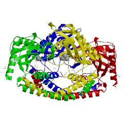 Image of CATH 5th3