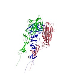 Image of CATH 5thf