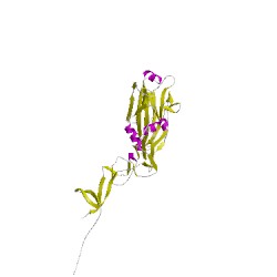 Image of CATH 5thfE