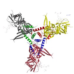 Image of CATH 5thr