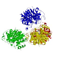 Image of CATH 5tht