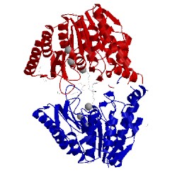 Image of CATH 5thv