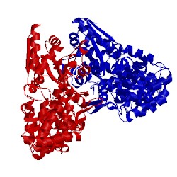 Image of CATH 5tib