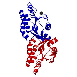 Image of CATH 5tic