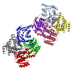 Image of CATH 5tii