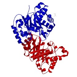 Image of CATH 5tim