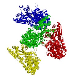 Image of CATH 5tj2