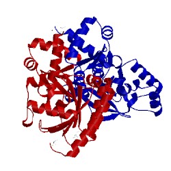 Image of CATH 5tjj