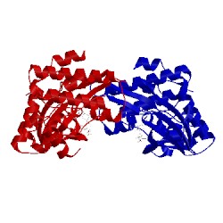 Image of CATH 5tkd