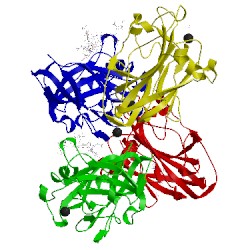 Image of CATH 5tkf