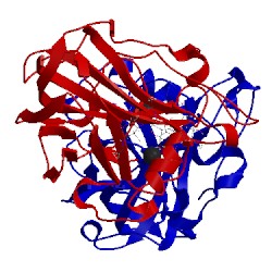 Image of CATH 5tkg