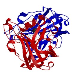 Image of CATH 5tki