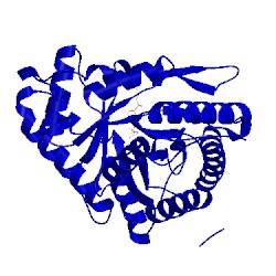Image of CATH 5tkn