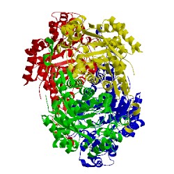 Image of CATH 5tlc