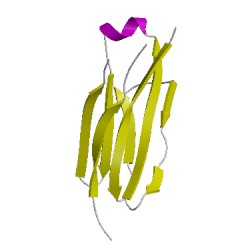 Image of CATH 5tlkD02