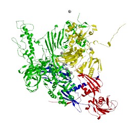 Image of CATH 5tmc