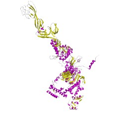 Image of CATH 5tmfD