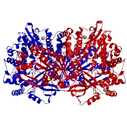 Image of CATH 5tmh