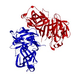 Image of CATH 5tmk