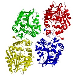 Image of CATH 5tnd