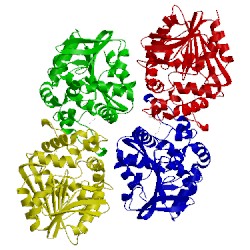 Image of CATH 5tnh