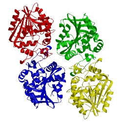 Image of CATH 5tnp