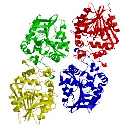 Image of CATH 5tns
