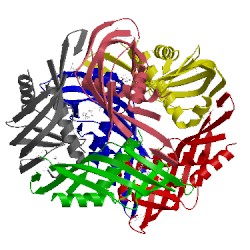 Image of CATH 5tod