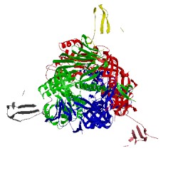Image of CATH 5tok
