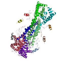 Image of CATH 5tou