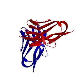 Image of CATH 5tp3