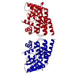 Image of CATH 5tq6