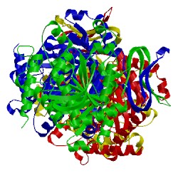 Image of CATH 5tqh