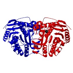 Image of CATH 5tqi
