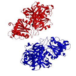 Image of CATH 5tr2