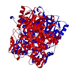 Image of CATH 5trh