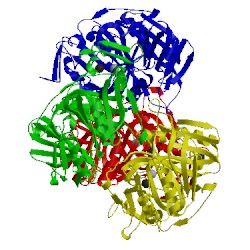 Image of CATH 5trx