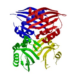 Image of CATH 5ts4