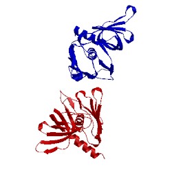 Image of CATH 5tss