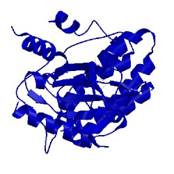 Image of CATH 5tts