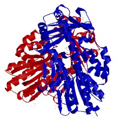 Image of CATH 5tue