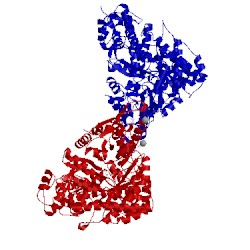 Image of CATH 5tus